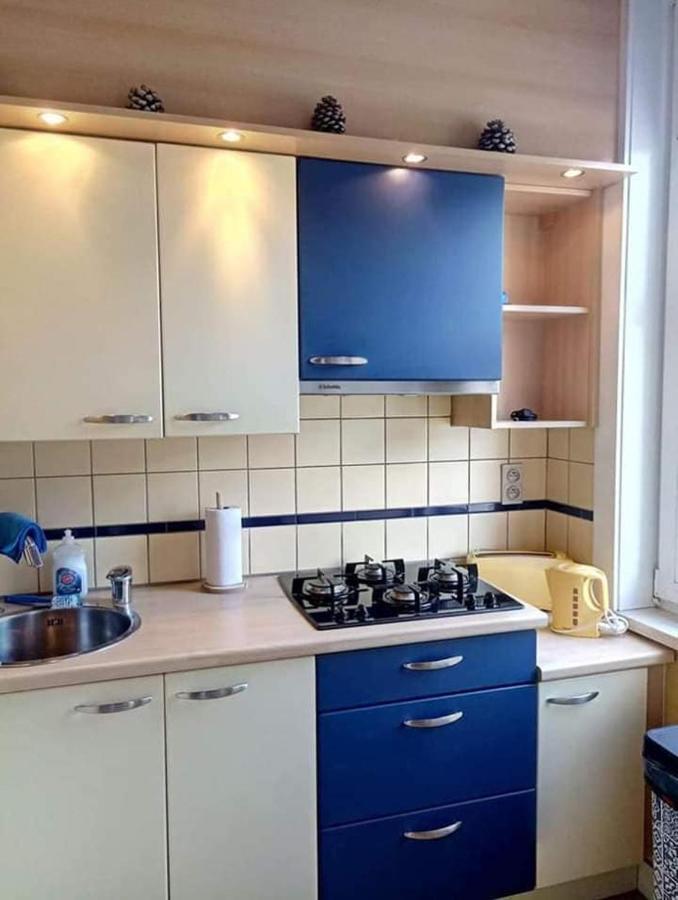 Villa Jean Gezellig Appartement Met Zeezicht บลังเคนเบอร์เก ภายนอก รูปภาพ